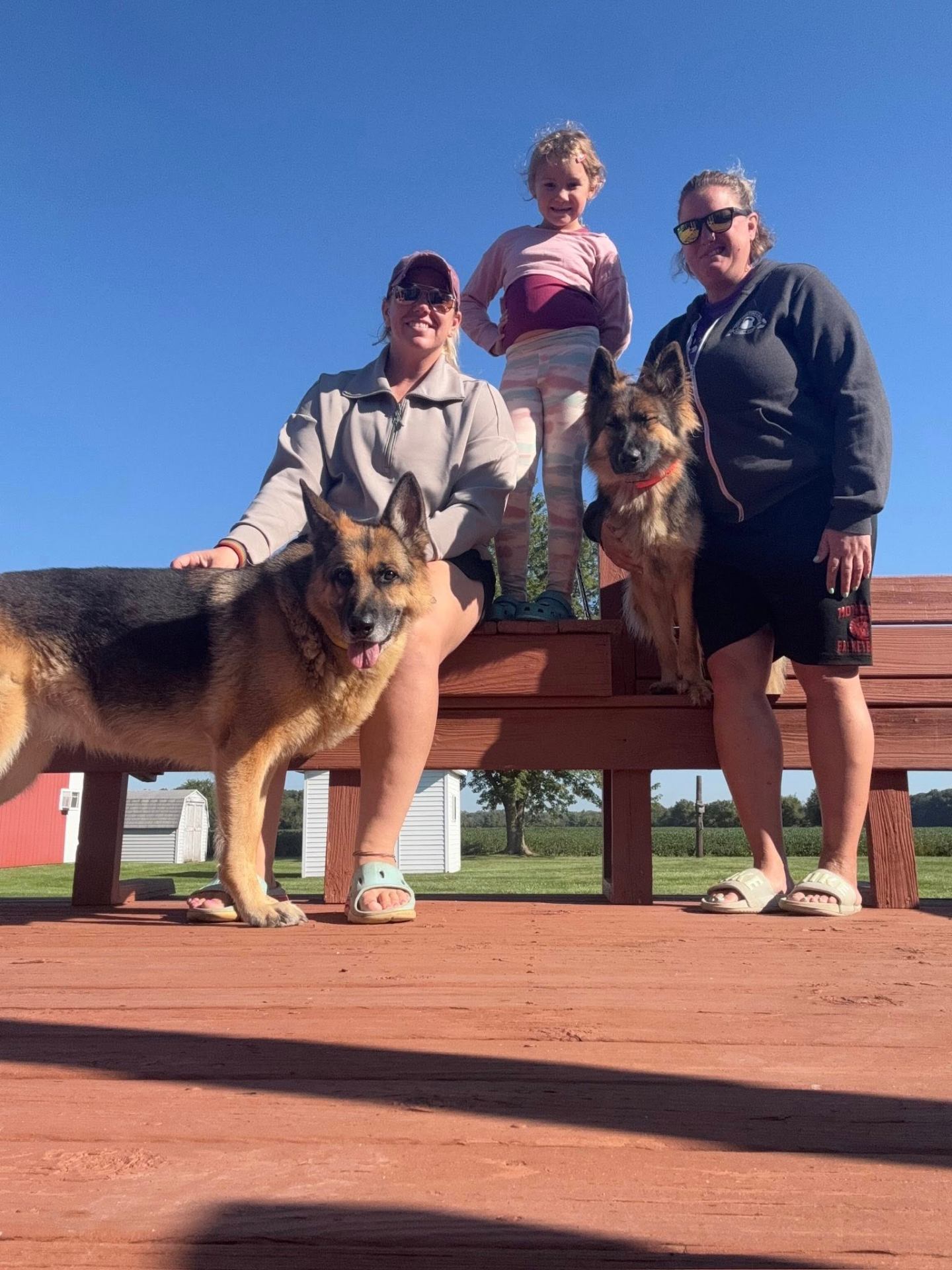 Family with their two adult German Shepherds from Haus Von Wolfgang Mojica