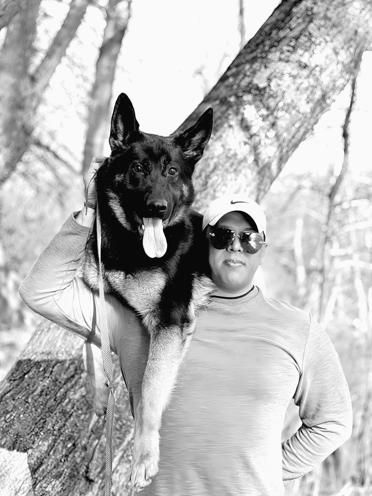 The breeder with a Haus Von Wolfgang Mojica shepherd